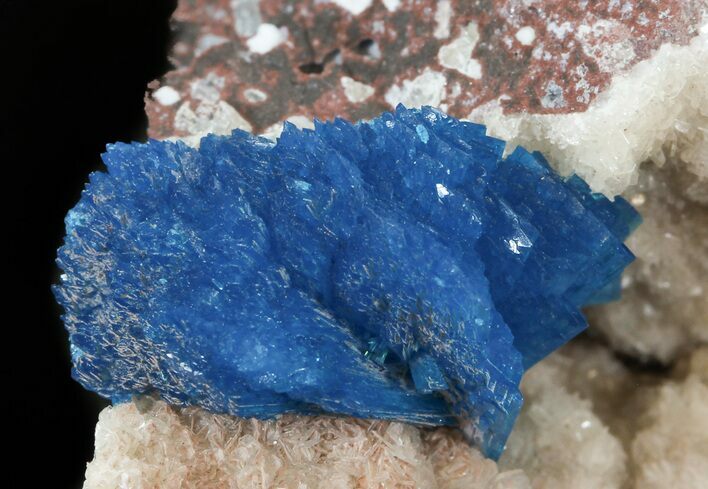 Blue Cavansite Crystals on Druzy Heulandite - India #43835